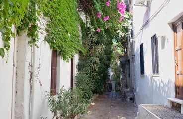 Fototapeta premium Narrow street between whitewashed buildings with green foliage, pink and white flowers overhead in old Marmaris - Mugla - Turkey