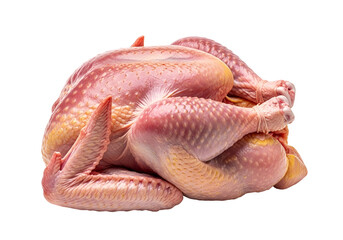 Fototapeta premium Uncooked Whole Raw Chicken with Skin and Legs on Black Background