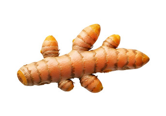 Unique ginger root resembling a small animal with distinct limbs and textured surface against a