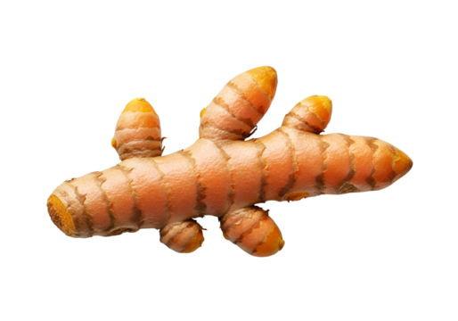 Unique ginger root resembling a small animal with distinct limbs and textured surface against a