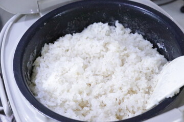 炊飯器で炊いた白米の写真