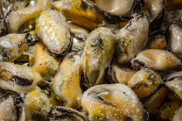 Fresh Mussel Meat Without Shell