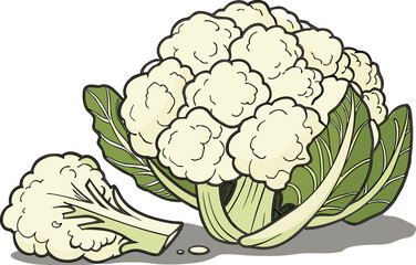 Fresh Cauliflower With Pic Head on Empty Background
