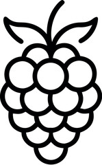 Blackberry fruit or blackberries line art vector icon 