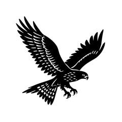 vector silhouette of a hawk diving on white background