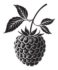 Minimalist Dark Gray Raspberry Silhouette Illustration with Stem and Leaves