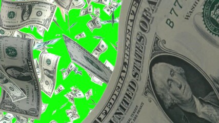 Dollar banknotes flying Money Rain. Falling bills American money 100 US Dollar cash falling. Money falling down animation on Green screen. USA Hundred Dollar Banknotes falling - Powered by Adobe