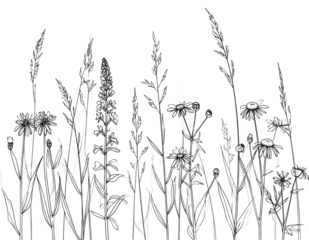 wild grass and flowers in black outline style  