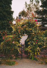 Low-key scene of romantic garden entrance with wrought iron gate covered in lush ivy and climbing...