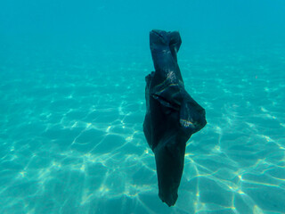Bag in underwater, Environmental pollution problem plastic bottle in sea, Plastic rubbish garbage...