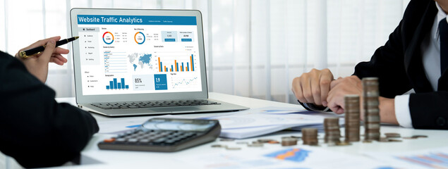 Computer software for website traffic analytics data on computer screen. Concept of SEO search engine optimization and customer targeting for online business brisk