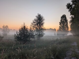 
Silhouette embraces the rising sun in morning golden m