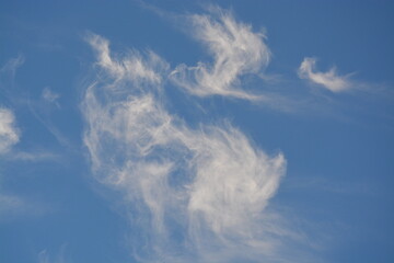 Himmel, Wolkengebilde, Zirruswolken, Abend