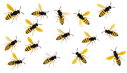 Illustration of various wasps