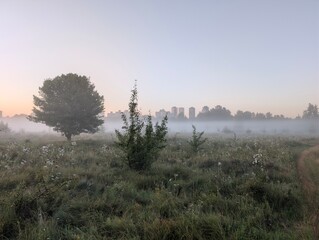 
Silhouette embraces the rising sun in morning golden m