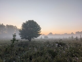 
Silhouette embraces the rising sun in morning golden m