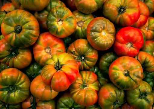 Tomatoes background, Spanish tomato variety Raf
