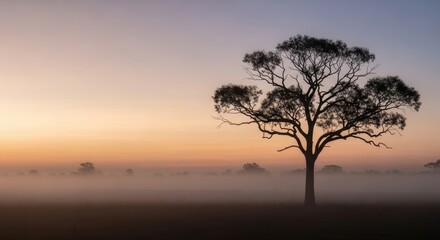 Obraz premium Solitary Tree in Morning Mist - A single tree stands silhouetted against a sunrise, mist clinging to the ground below. Serene and peaceful nature scene