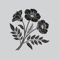 Primrose Bloom and Bud Illustration Vector