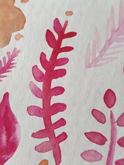 abstract red seaweed  simple watercolor background