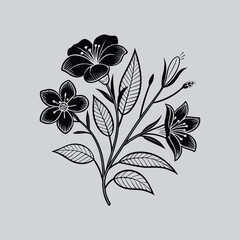 Primrose Sketch Black and White Drawing