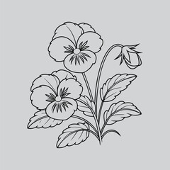 Vintage Primrose Botanical Outline