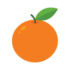 clementine fruit vector illustration