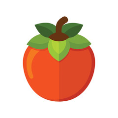vector illustration of persimmon