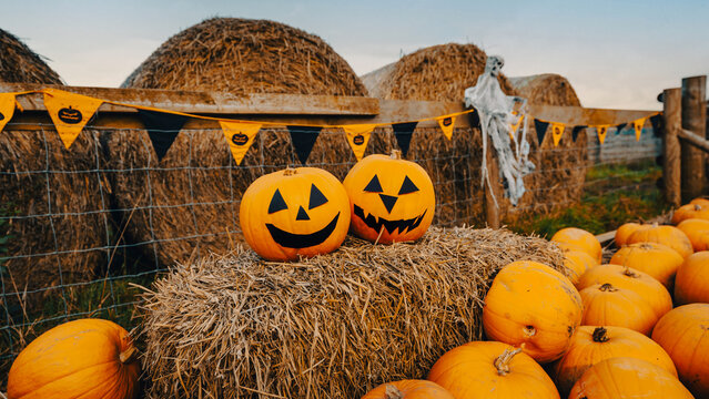 Two funny faced pumpkin halloween in patch field