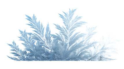 Delicate icy ferns create a beautiful frosty border on a white background