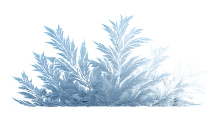 Delicate icy ferns create a beautiful frosty border on a white background