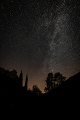 Clear night north sky with stars and trees in foreground