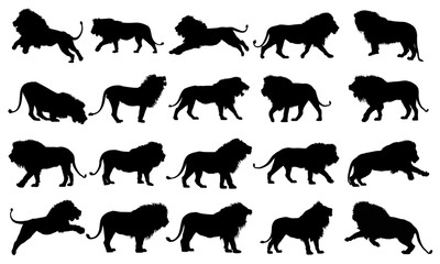 Lion Silhouette