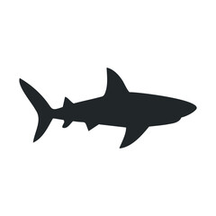 Fototapeta premium Silhouette of a great white shark