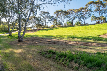 vibrant photos of Playford's landscape transformation. Showcase grant-funded revegetation, mass plantings, and biodiversity at Craigmore Park. Capture spring meadows, young forests
