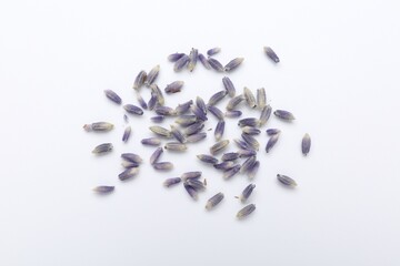 Dried lavender flowers on white background, flat lay