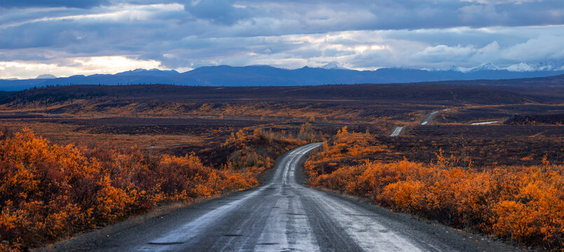 Panoramic view of Scenic Denali highway a scenic by way between Cantwell and Paxson in autumn time.