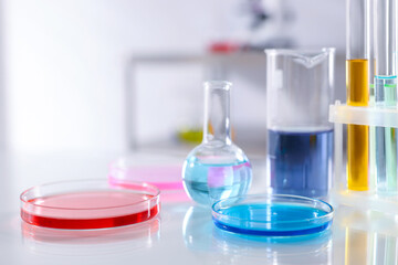 Laboratory glassware with different samples on light table, closeup. Space for text