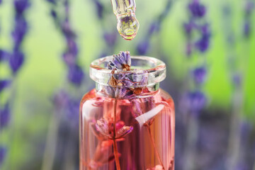 Dripping lavender essential oil into bottle with flowers against blurred background, closeup