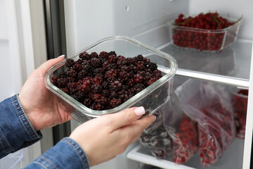 Freezing berries. Woman putting container with blackberries into open fridge, closeup