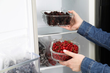 Freezing berries. Woman putting containers with berries into open fridge, closeup