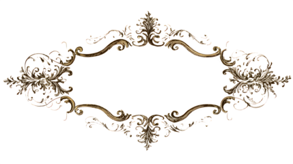 Elegant antique ornate oval frame with detailed floral embellishments