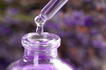 Dripping lavender essential oil from pipette into bottle against blurred background, closeup