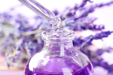 Dripping lavender essential oil from pipette into bottle against blurred background, closeup