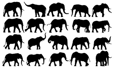African Elephant Silhouette vector