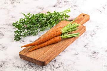 Toung fresh ripe orange carrot