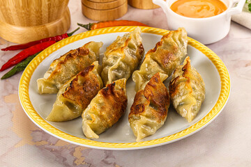 Japanese fried Gyoza stuffed dumplings