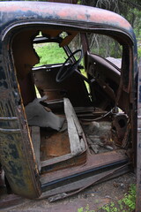 Interior of old rusty truck abandoned in the woods