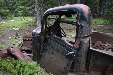 old rusty truck in the woods