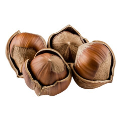 chocolate with hazelnuts isolated [Transparent Background PNG]